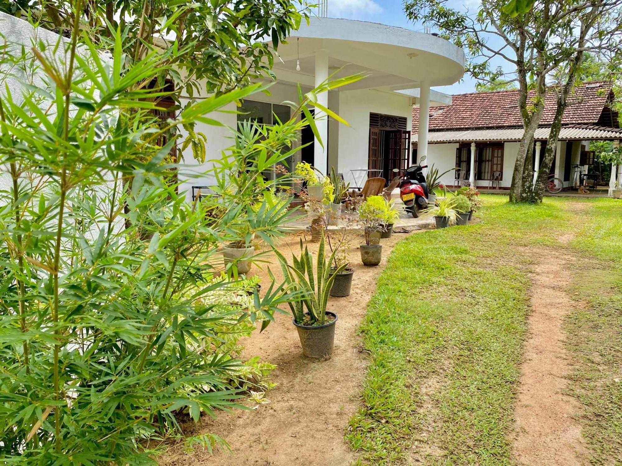 Sasmika Villa Surf And Yoga Hostel Weligama Exterior foto